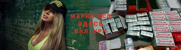 spice Бронницы