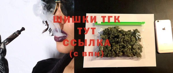 PSILOCYBIN Верхний Тагил