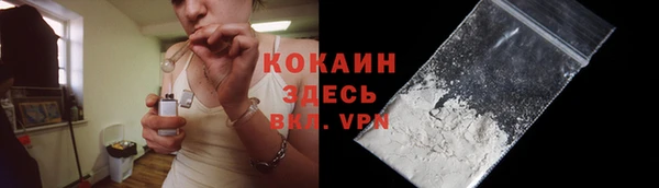 PSILOCYBIN Верхний Тагил