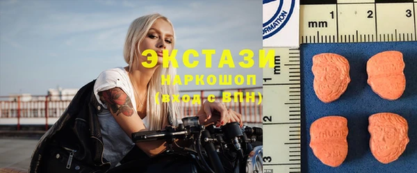 СК Снежногорск
