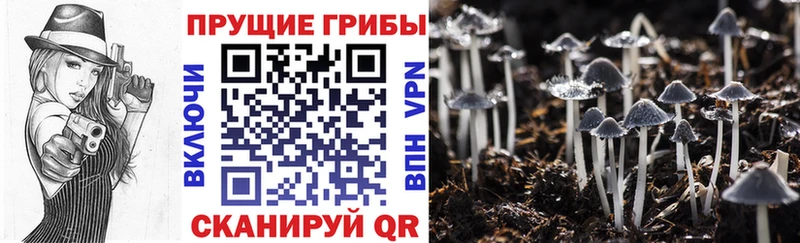 даркнет сайт  Тольятти  мега как войти  Галлюциногенные грибы ЛСД 